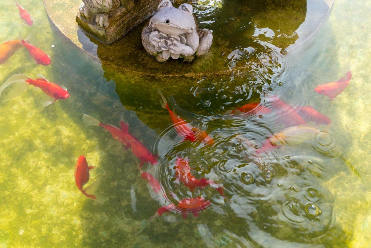 Lu&Cia Jardin Al Mar Daire Málaga Dış mekan fotoğraf